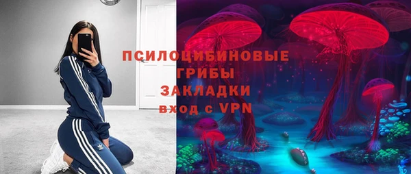 apvp Рославль