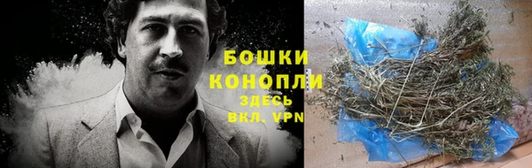 apvp Рославль