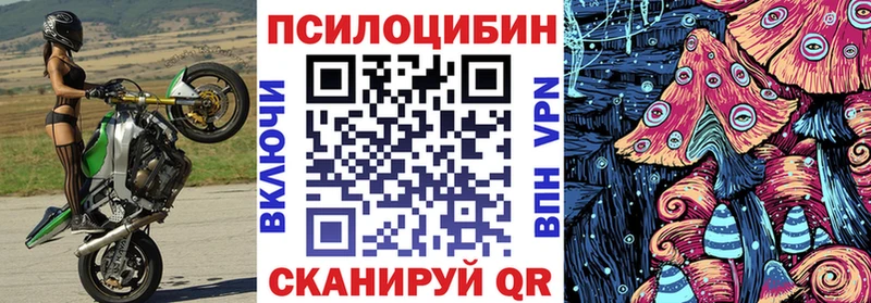Псилоцибиновые грибы мухоморы  Купить закладки  Касимов 